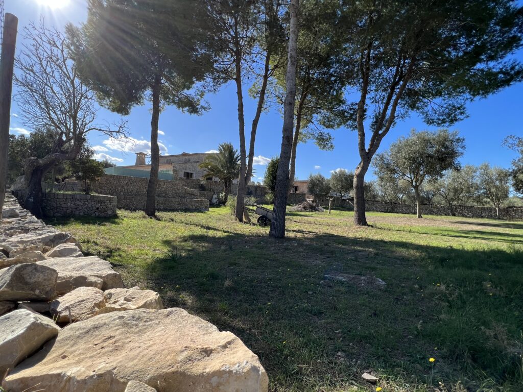 Luxury finca – Son Orlandis