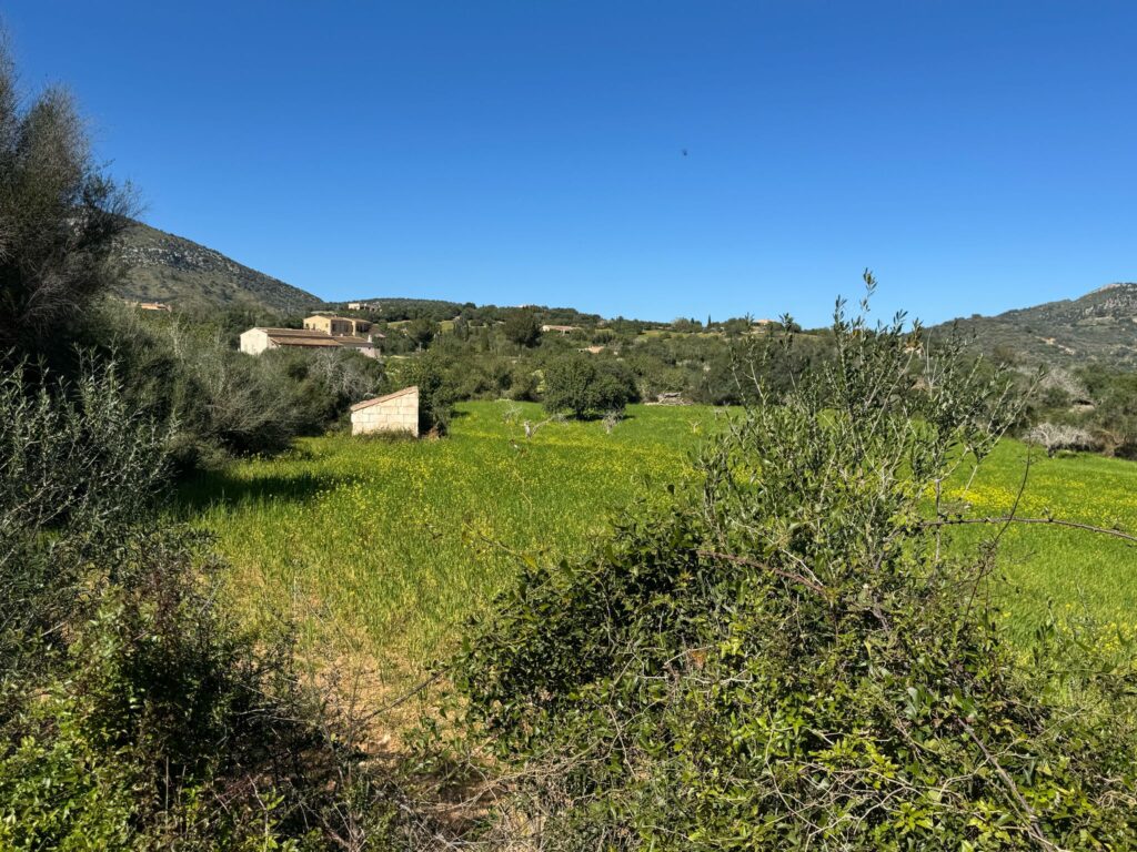 Neubaufinca in idyllischer Lage bei Sant Llorenç