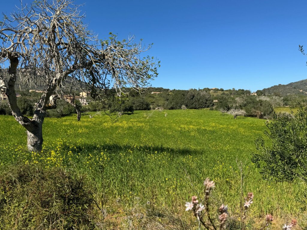Neubaufinca in idyllischer Lage bei Sant Llorenç