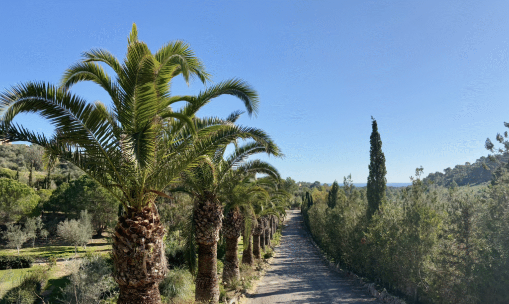 Finca mediterránea con vistas panorámicas al mar – tu escondite privado cerca de Son Macià