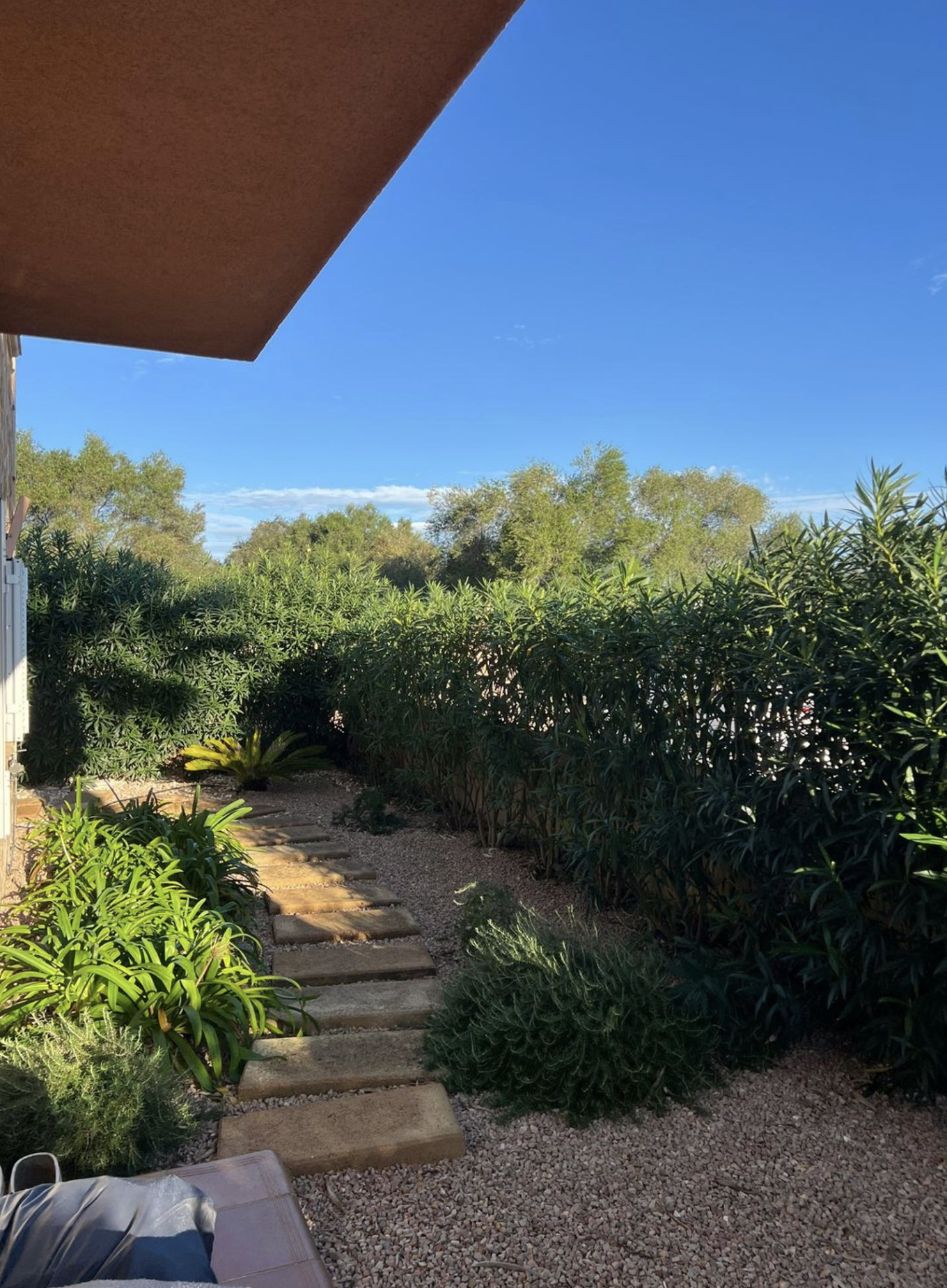 Bildschirmfoto 2025-10-29 um 16.41.56