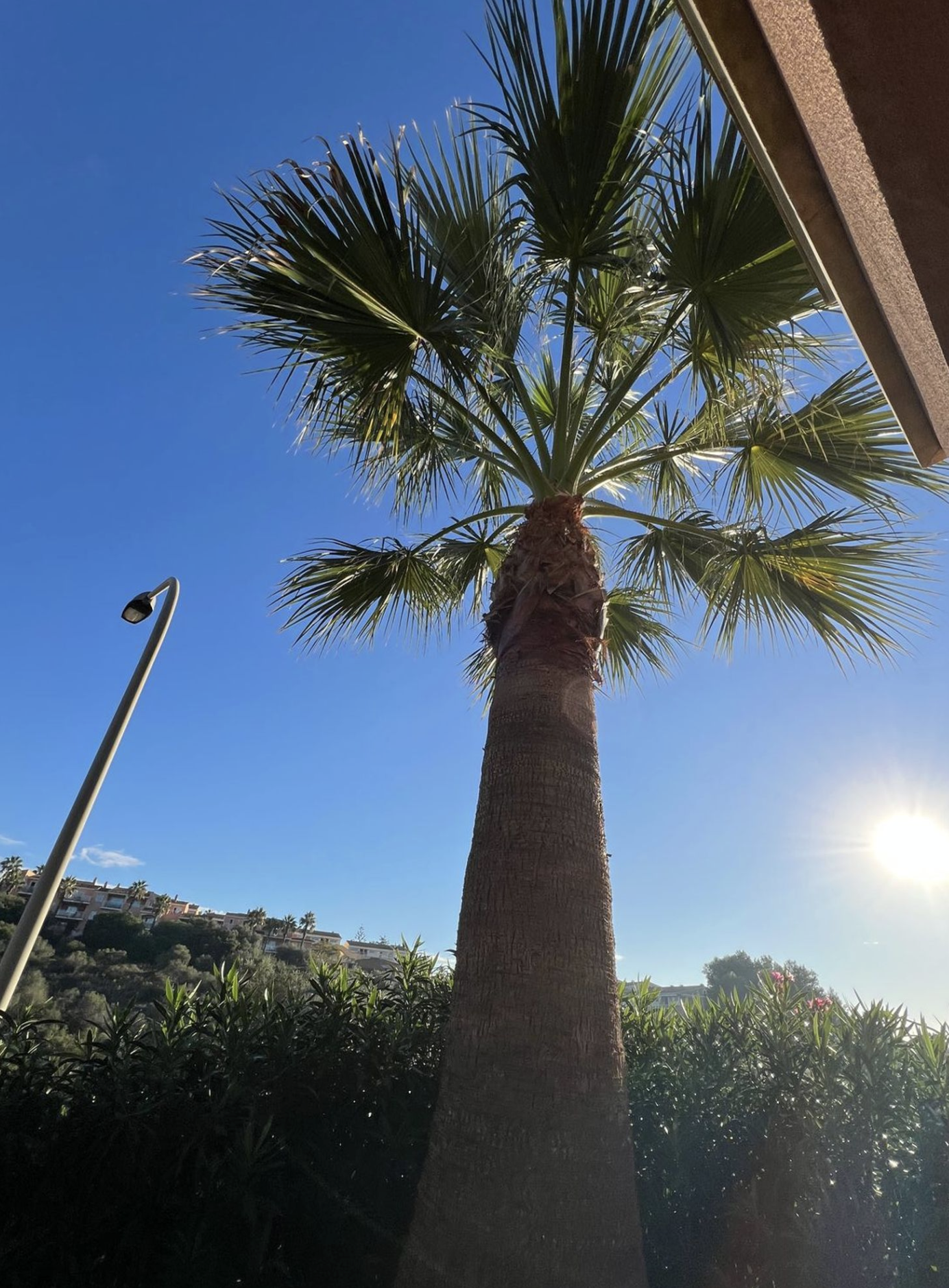 Bildschirmfoto 2025-10-29 um 16.42.16