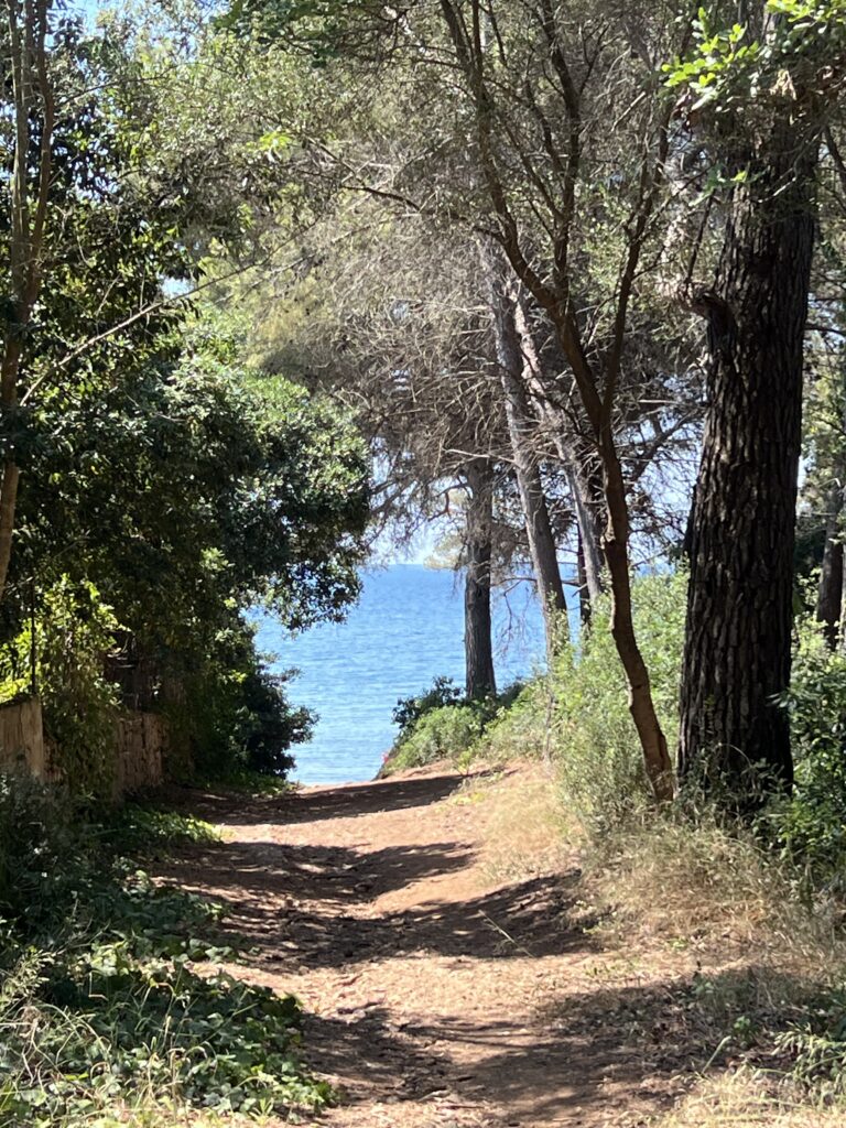 Mallorquinisches Juwel – Charmante Luxusfinca und ETV Lizenz