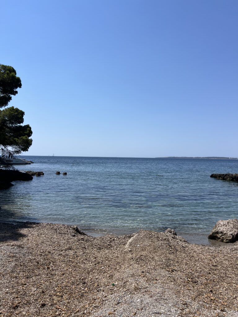 Mallorquinisches Juwel – Charmante Luxusfinca und ETV Lizenz